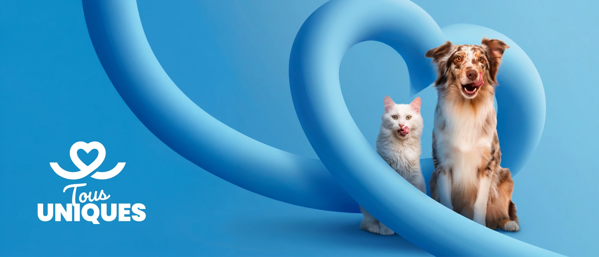 Un chien et un chat assis dans un grand cœur bleu, à côté du logo Tous Uniques
